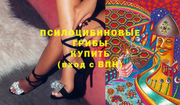 сатива Абаза