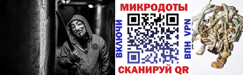 Галлюциногенные грибы Cubensis OMG ссылка Агидель маркетплейс состав наркошоп